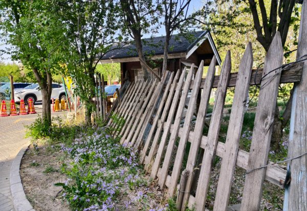 掘金配资 开放式公园铁丝网、木栅栏摇摇欲坠，如此围挡煞风景