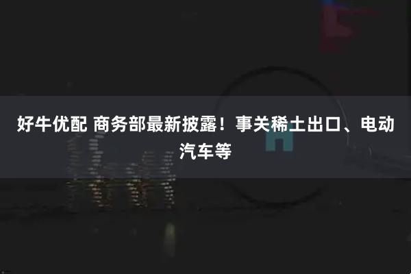 好牛优配 商务部最新披露！事关稀土出口、电动汽车等
