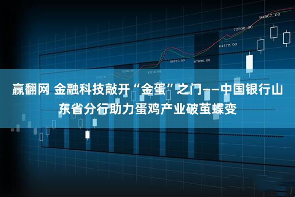 赢翻网 金融科技敲开“金蛋”之门——中国银行山东省分行助力蛋鸡产业破茧蝶变