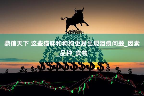 鼎信天下 这些猫咪和狗狗更易出现泪痕问题_因素_品种_食物